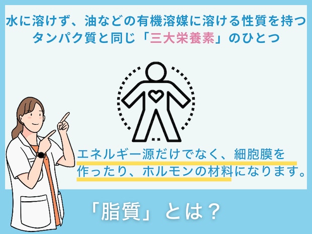 「脂質」とは?