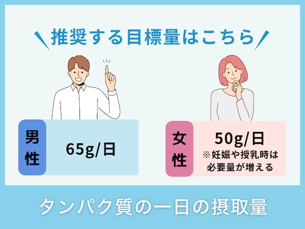 タンパク質の一日の摂取量