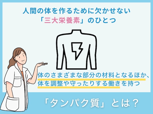 「タンパク質」とは?