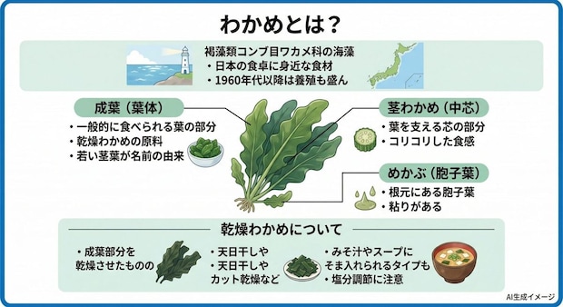 わかめとは?