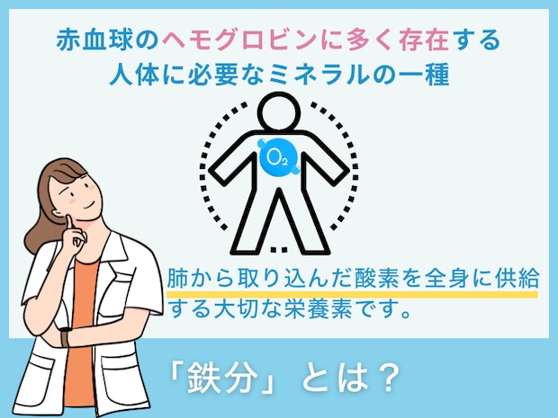 「鉄分」とは?