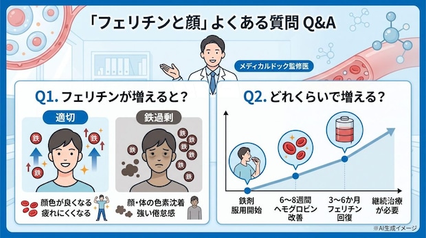 「フェリチンと顔」についてよくある質問