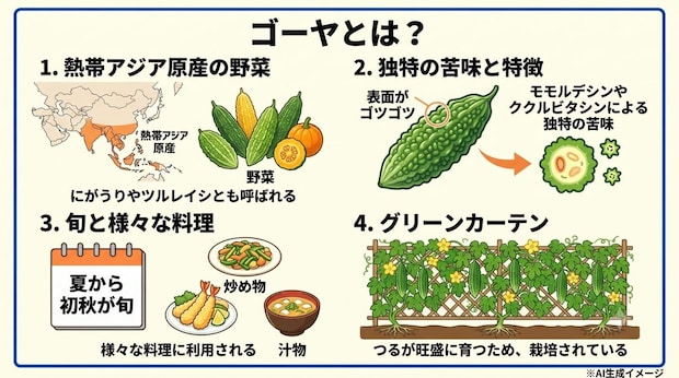 ゴーヤとは？