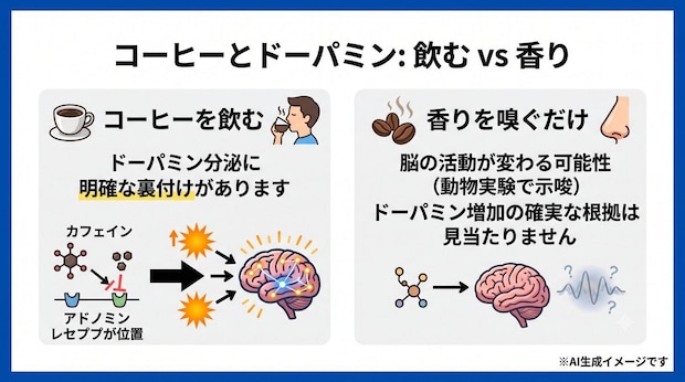 ドーパミンが多く分泌されるのは「コーヒーを飲む」と「香りを嗅ぐだけ」どっち？