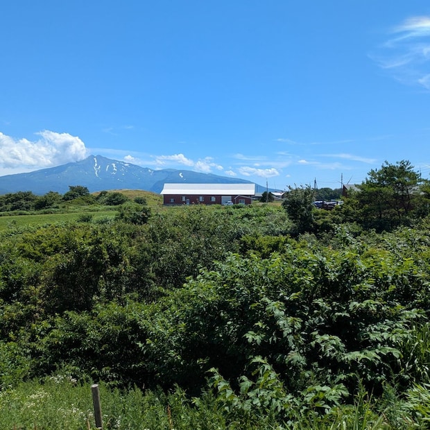 シフォンさん