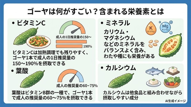 ゴーヤは何がすごい?含まれる栄養素とは