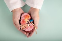 【糖尿病性腎症】悪化の原因となるタンパク質を発⾒ 末期腎不全の発症リスク評価や治療に新たな道