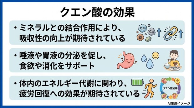 クエン酸の効果