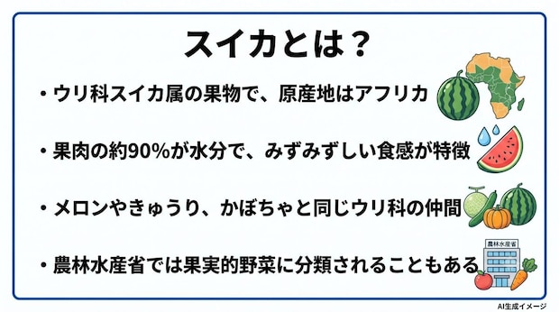 スイカとは?