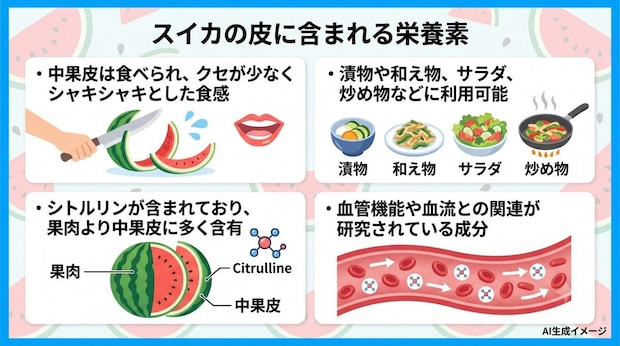 スイカの皮に含まれる栄養素