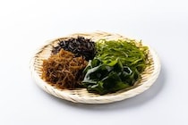 「食物繊維」で花粉症などのアレルギーを抑制、東京理科大がメカニズムを解明