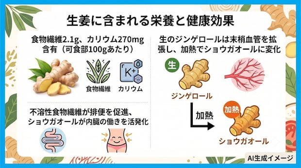 生姜に含まれる栄養と健康効果