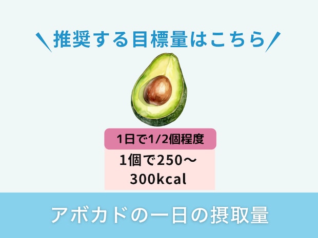 アボカドの一日の摂取量