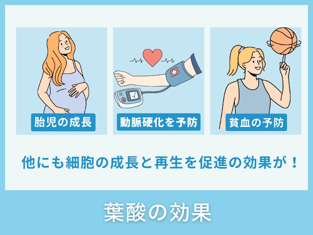 葉酸の効果