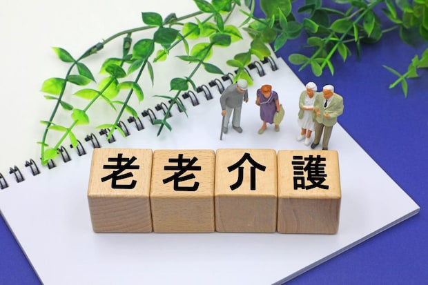老老介護ではどんな在宅の困りごとが増える？