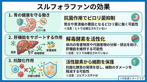 スルフォラファンの効果
