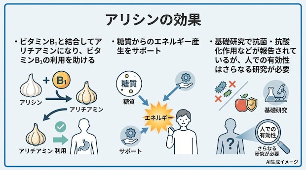 アリシンの効果
