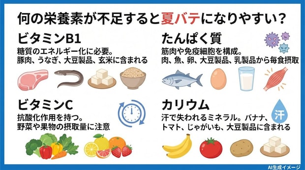 何の栄養素が不足すると夏バテになりやすい?