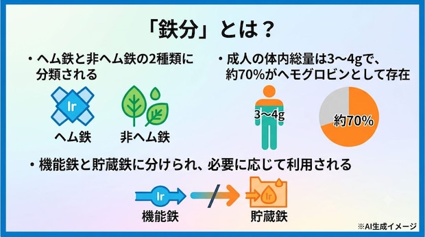 「鉄分」とは?