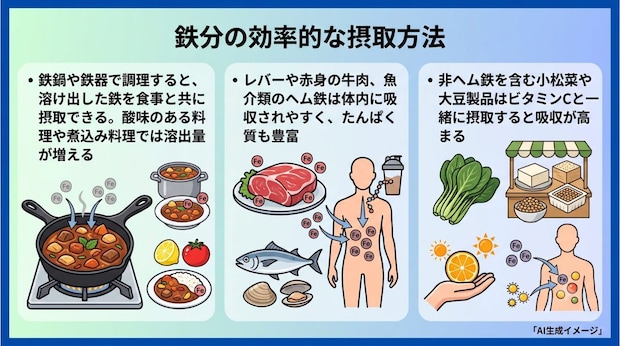 鉄分の効率的な摂取方法