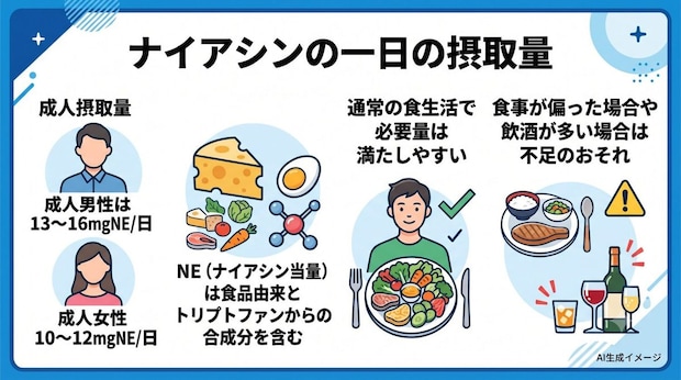 ナイアシンの一日の摂取量