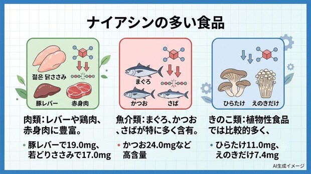ナイアシンの多い食品