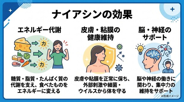 ナイアシンの効果