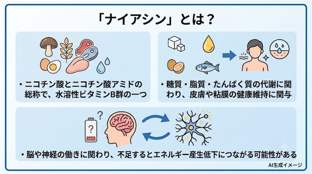 「ナイアシン」とは?