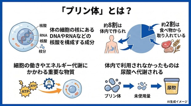 「プリン体」とは？