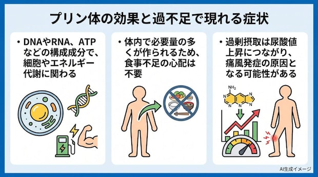 プリン体の効果と過不足で現れる症状