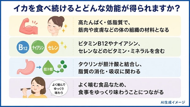 イカを食べ続けるとどんな効能が得られますか？