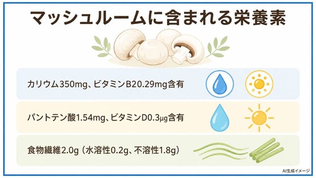 マッシュルームに含まれる栄養素