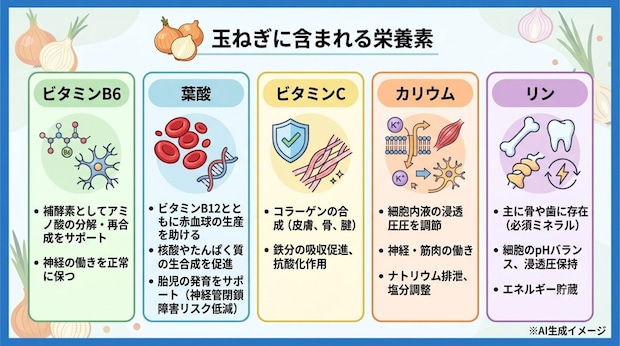 玉ねぎに含まれる栄養素