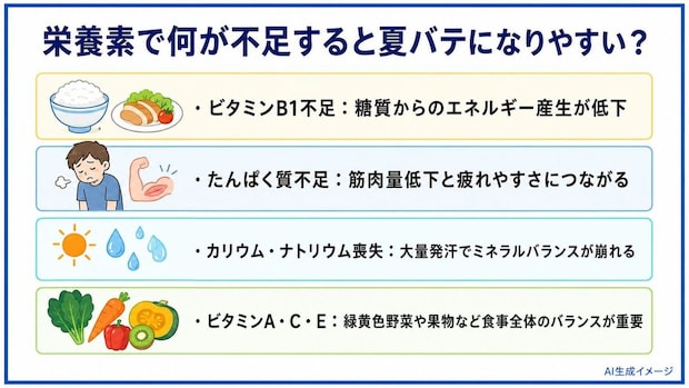 栄養素で何が不足すると夏バテになりやすい？