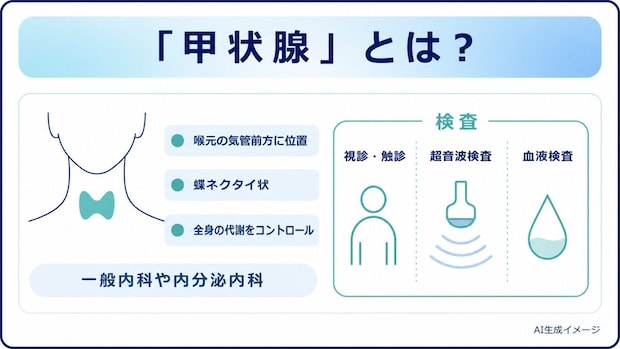「甲状腺」とは？