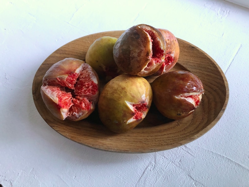 【岡山県→島根県大田市】秋の味覚とご近所さん