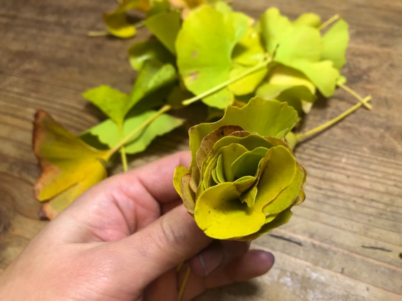 【岡山県→島根県大田市】秋の草花あそび