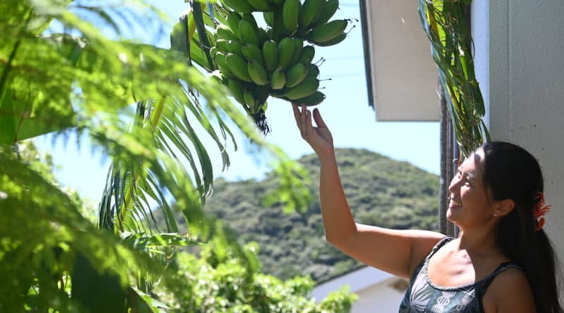 【静岡県→いちき串木野市】与えられるより、見つける楽しさを。羽島だから出来る海辺の子育てと暮らし【鮫島百桃子さん 後編】