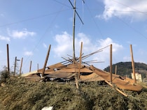 【岡山県→島根県大田市】五十猛のグロを見に行く