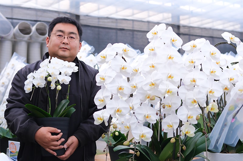【福島県・企業紹介】「希望の花を、葛尾村で」胡蝶蘭栽培という仕事の魅力を地域のパワーへ
