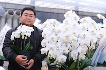 【福島県・企業紹介】「希望の花を、葛尾村で」胡蝶蘭栽培という仕事の魅力を地域のパワーへ