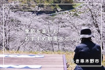 季節を楽しむ、いちき串木野市おすすめ散策スポット