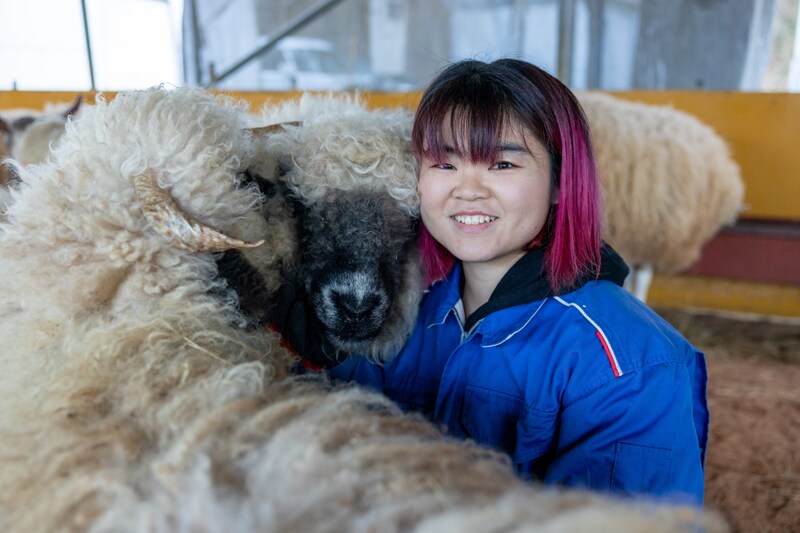 【福島県大熊町】新卒で大熊町の羊牧場に飛び込んだ、羊が大好きな動物看護師/移住者 田﨑さんインタビュー