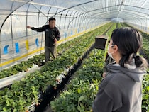 いちご好き、漫画きっかけ、移住の下見——きっかけはそれぞれ、3人が鉾田市の農業体験で見つけた「また来たい理由」【農業体験 参加者インタビュー】