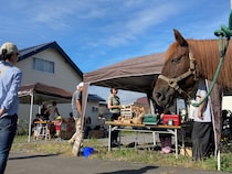 「無理のない暮らしってどうやるんだろう」と思ったときに、読みたい移住の話。〜おすそわけでつながる北海道下川町の暮らし #3〜