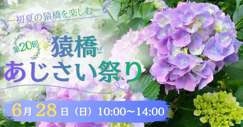 【6月28日(日)開催】-初夏の猿橋を楽しむ-第20回猿橋あじさい祭(山梨県大月市)