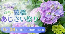 【6月28日(日)開催】-初夏の猿橋を楽しむ-第20回猿橋あじさい祭（山梨県大月市）
