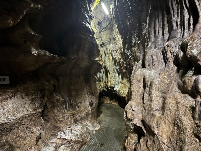 田村市で挑む本気の洞窟探検!冷たい水と暗闇をくぐり抜け地球の神秘に出会う『入水鍾乳洞』