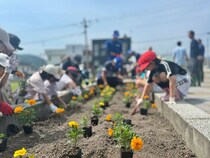 【北海道 富良野市 山部地区】世代を超えて 富良野・山部を彩る「花いっぱい運動」