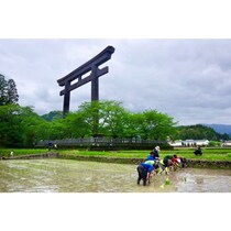 熊野本宮・大斎原の田んぼを守る。稲刈り関係人口プロジェクト！